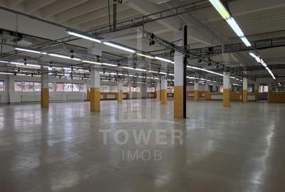 Hală de producție / depozitare – 1.300 mp utili, etaj 1, zona centrala - 14