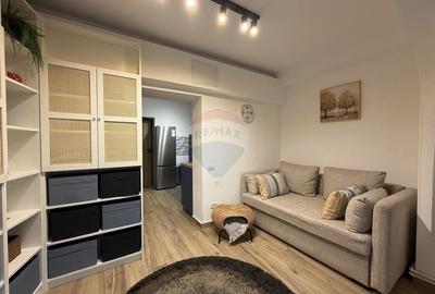 Studio cochet de inchiriat - Baba Novac - 5