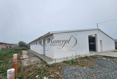 Hala la prima inchiriere, izolata termic, disponibila imedia - 18