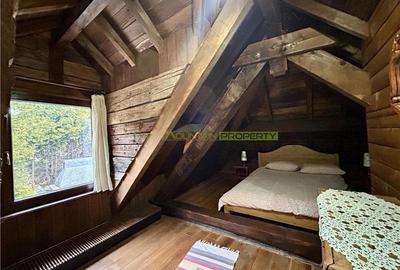 Raritate| Teren de vis de 6 ha de vanzare in Pestera Brasov - 6