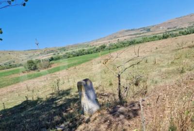 Teren de 5008 mp, în Iara - 3