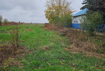 Butimanu (Decindea) Jud. Dambovita, teren intravilan si extravilan - 5