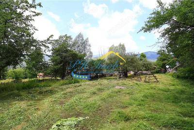 Teren de 1037 mp, în Valea Doftanei