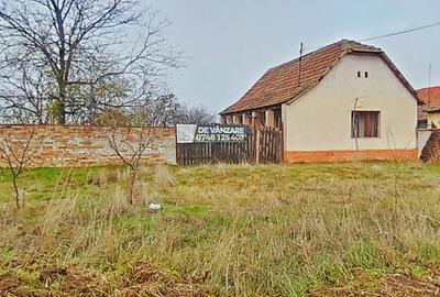 Casă cu potențial, teren generos de 1.440 mp – Secusigiu, Arad - 6