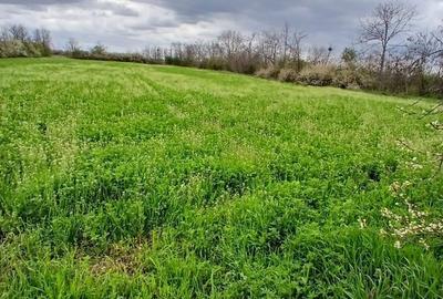 Teren de 6500 mp, în Racovița - 4