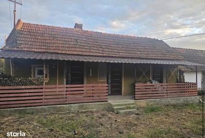 Casă cu 4 camere cu Teren 4500 Mp în Bâlc - 4