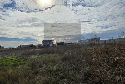 Teren Construcții intravilan de 826 mp, în Măgurele - 3