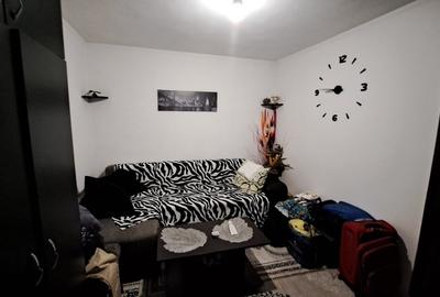 Casa cu teren situata in zona Coiciu-Trocadero - 5