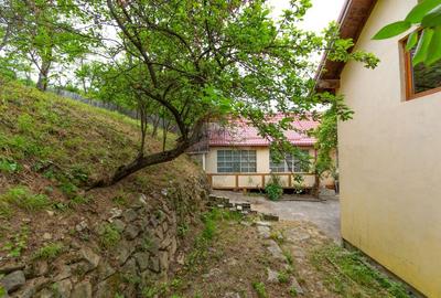 Proprietate compusa din doua case - zona linistita  155.000 euro - 24
