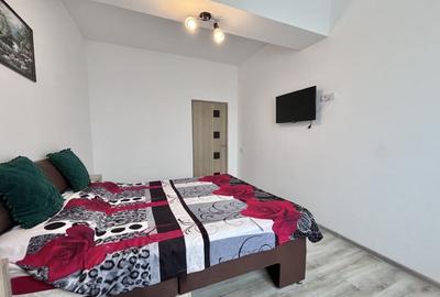 Apartament cu 2 camere semidecomandat, mobilat în Nord - 4