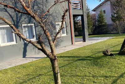 Casă cu Teren 500 Mp în Corbeanca - 11