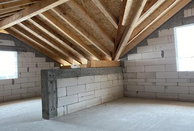 CASA 193 mp utili + teren 750 mp de vanzare VIISOARA -TG TROTUS - 7