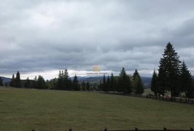 Teren 2804 mp, la munte! In Bucovina Fundu Moldovei! - 10
