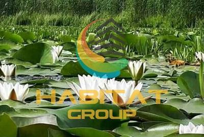 Spațiu comercial, în Vidra - 2