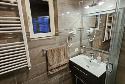 Apartament cu 3 camere decomandat, mobilat în Apărătorii Patriei - 11