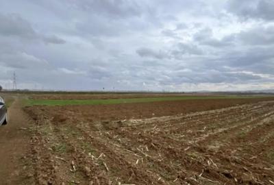 Teren de 2500 mp, în Horodnic - 4