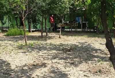 Casă individuală cu 4 camere cu Teren 1511 Mp în Adâncata - 4