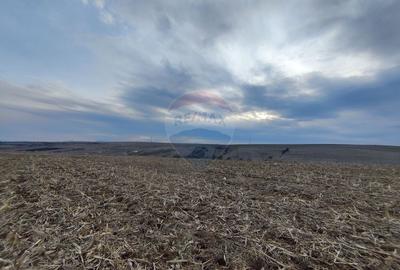 Teren intravilan de vanzare in Salicea, 3000 MP - 5