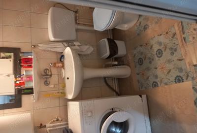 Casa de vanzare Com. Tichilesti - 3