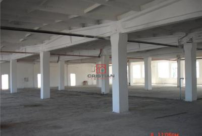 Spatiu industrial/depozit/hala Drumul Intre Tarlale - Oxige - 7