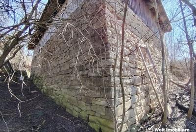 Teren Construcții intravilan de 2946 mp, în Micești - 8