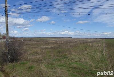 Teren de 4400 mp, în Tărtășești - 3