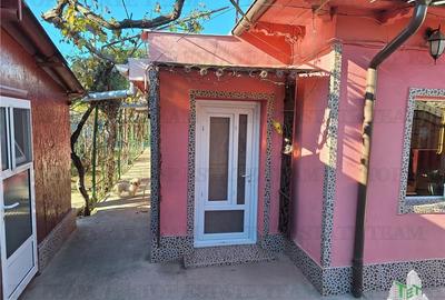 Casă individuală cu 4 camere cu Canalizare în Vidin-Progresul - 3