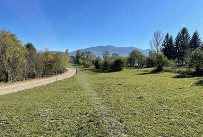 Teren intravilan zona Bran-Tohanita, judetul Brasov intre 500 si 1000 mp la 5 km de Moieciu - 13