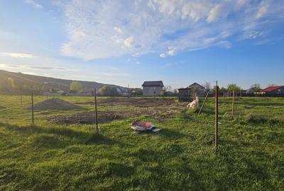 Teren de 500 mp, în Exterior Vest - 5