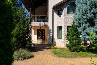 DOMENIU DE VANZARE - PRET SPECIAL - 2