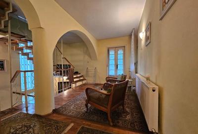 Vila in inima orasului Deva - 6