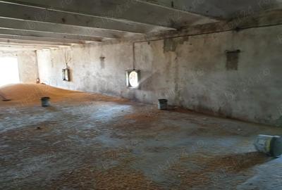 Spațiu comercial, de 30,000 mp, în Singureni - 6