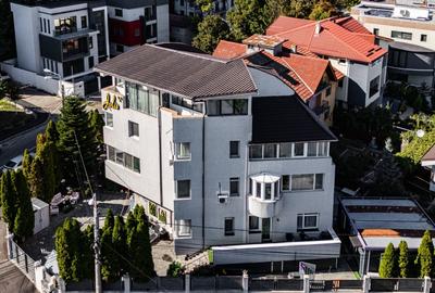 Vanzare Cladire Unica – 680 mp Utili – Curte + Deschidere la 2 Strazi – Mazepa 2 - 2