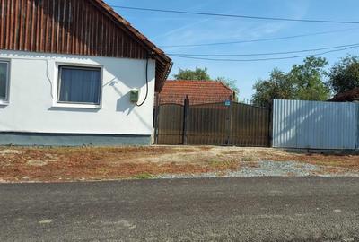 Casă cu 4 camere cu Teren 4316 Mp în Breazova - 5