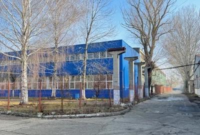 Vanzare/inchiriere 1-3 HALE si 1 cladire BIROURI, zona industriala mun. VASLUI - 6