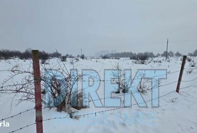 Spațiu comercial, în Central - 1