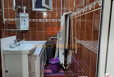 Apartament cu 2 camere semidecomandat, mobilat în Banat - 12
