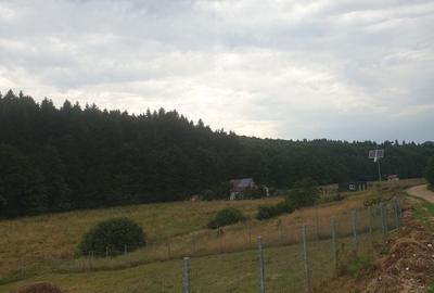 Teren de 1350 mp, în Vlădeni - 7
