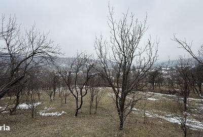 Teren de 4652 mp, în Șotrile - 18