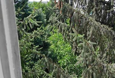 Apartament cu 3 camere în Central - 3