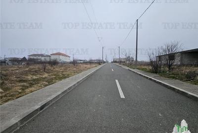 TEREN INTRAVILAN 1000 MP COSTINESTI - 6