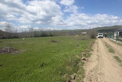 Spațiu comercial, în Vernești - 6