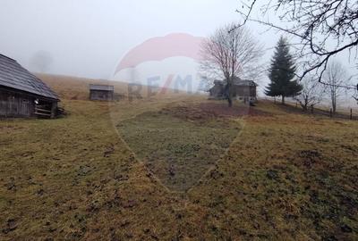 Teren Construcții intravilan de 26238 mp, în Dorna-Arini - 9