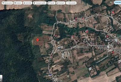 Teren Duda Epureni, ID: R2609594 - 3