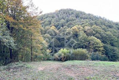 Teren pentru casa de vacanta pe Valea Bratcutei, Bihor - 9