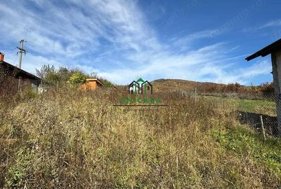 Teren intravilan - 1020 mp - Vladesti Priporu - 1