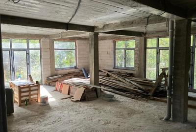 Casa 480  mp  costructie la gri; Transfagarasan, Cartisoara, 900 mp teren, parau Casa 480  mp  costructie la gri; Transfagarasan, Cartisoara, 900 mp teren, parau - 5