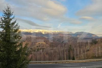 Casă cu 5 camere cu Teren 1789 Mp în Central - 8