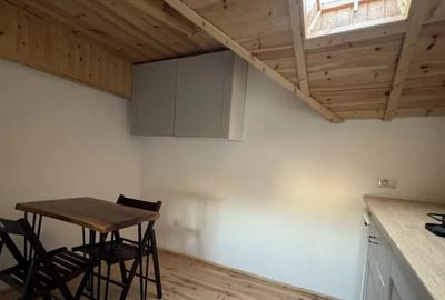 Vand garsoniera investi?ie Ci?migiu Unirii - 1