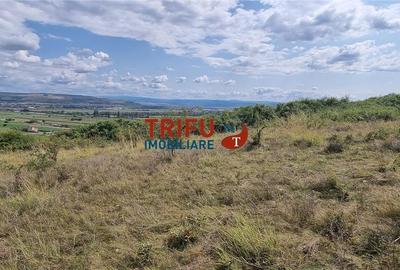 Teren extravilan de 2500 mp de vanzare  in Paclisa priveliste deosebita - 3